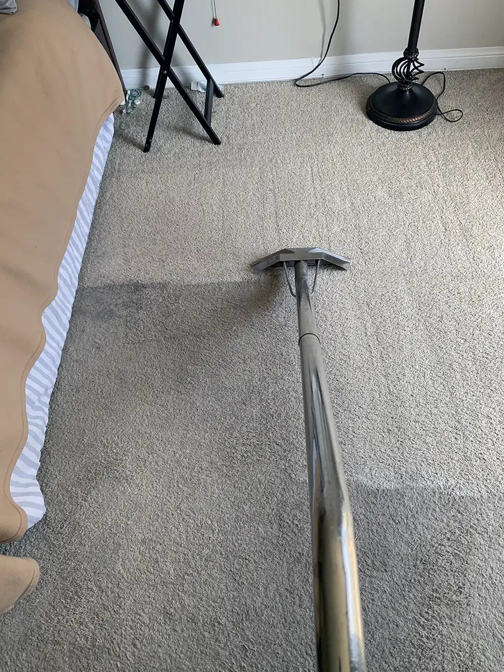 Green Scrub carpet cleaning in progress
