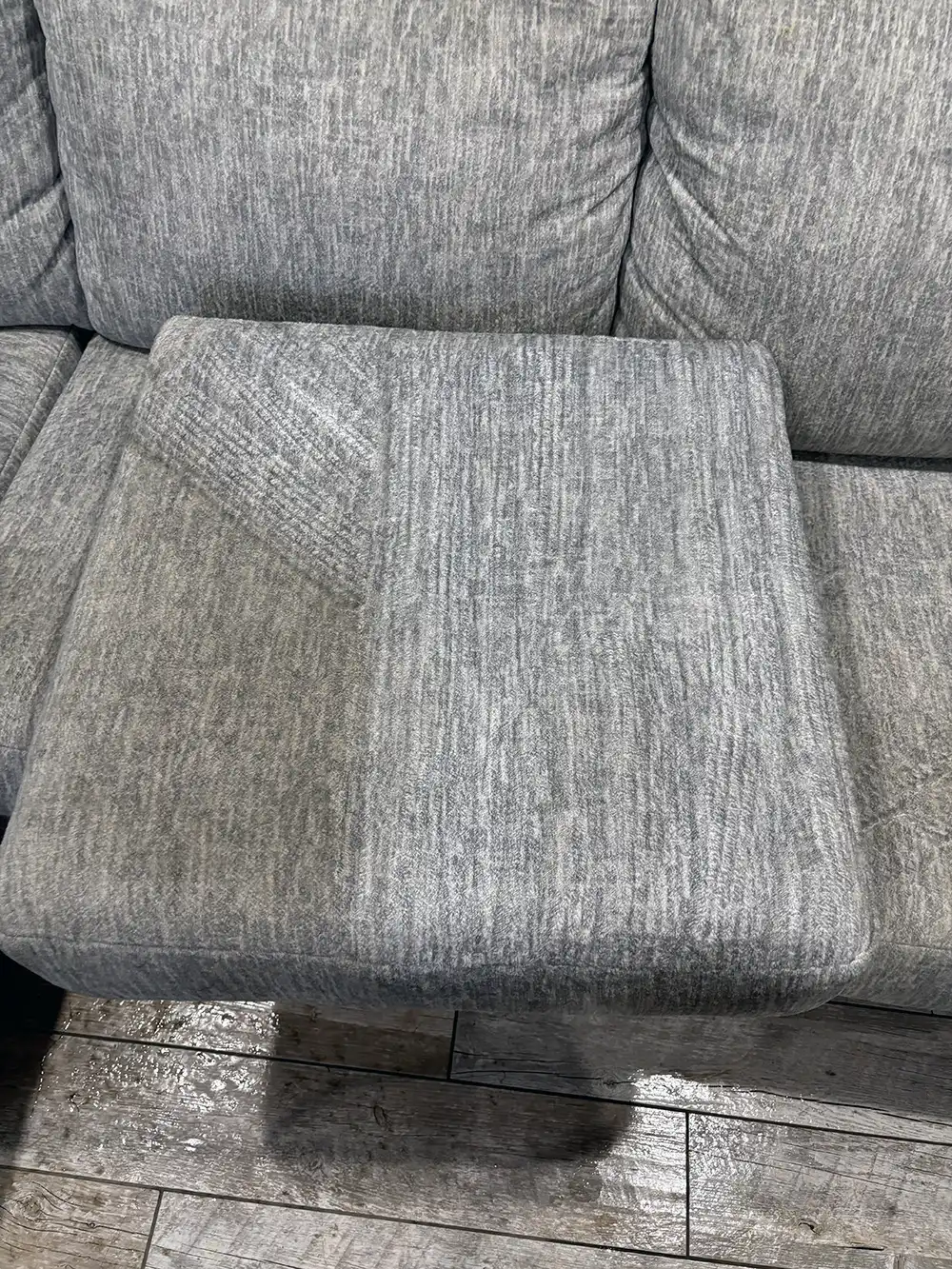 Green Scrub upholstery cleaning project