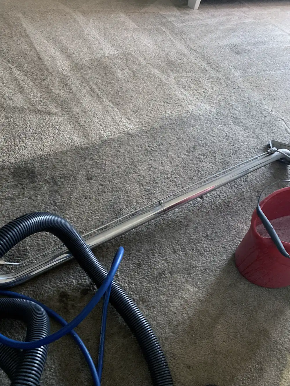 Green Scrub professional carpet cleaning in progress