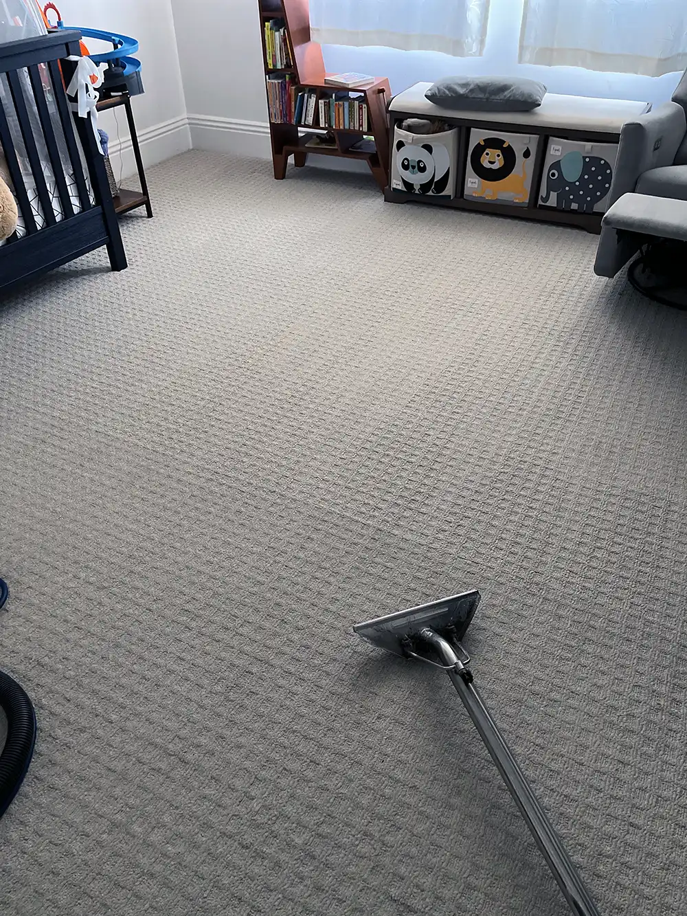 Professional carpet cleaning equipment extracting dirt from residential carpet