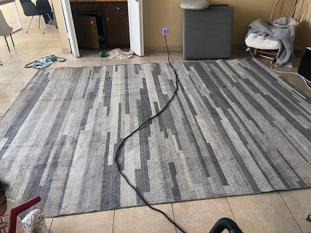 Professional cleaning equipment being used on a large area rug
