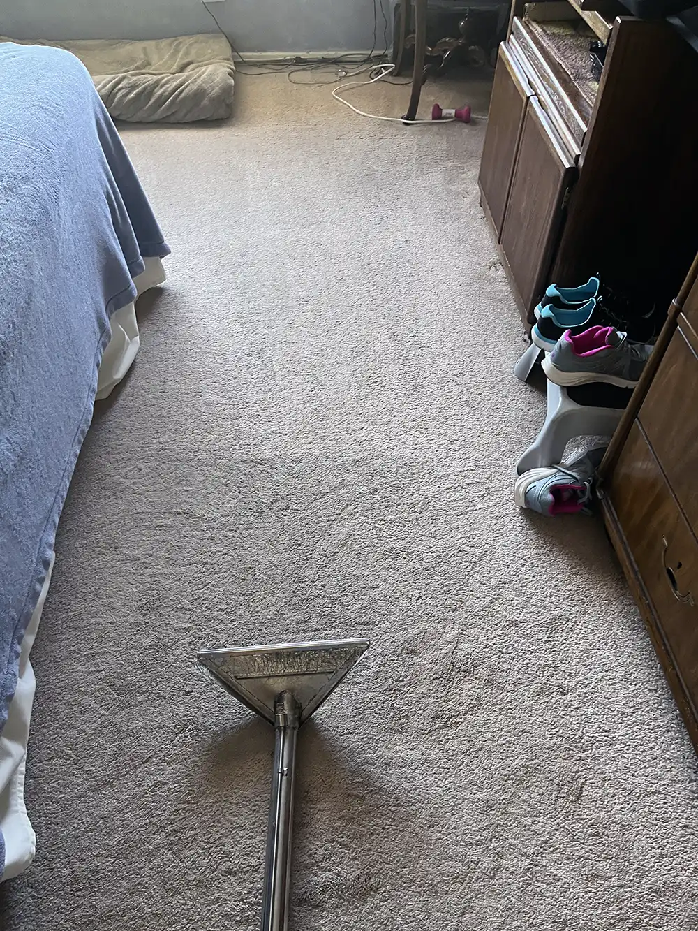 Carpet Cleaning in Los Angeles