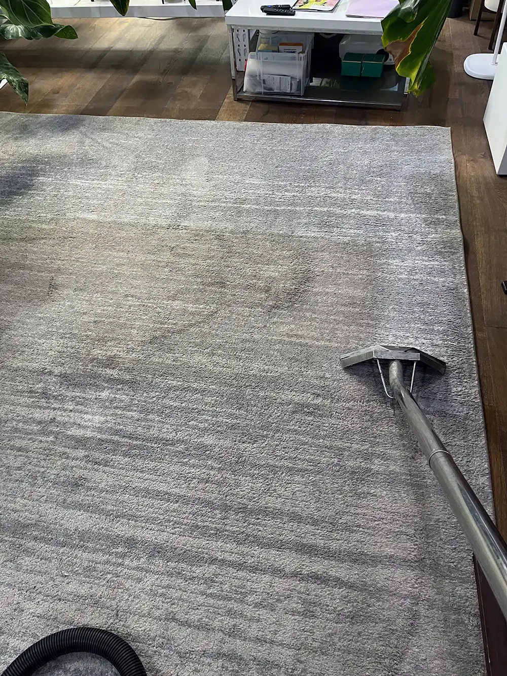 Area Rug Cleaning in Los Angeles
