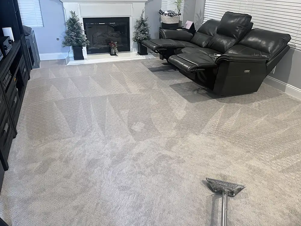 Pet Stain Cleaning in Los Angeles